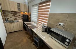 Apartament de 3 camere modern, centrala termica, 3x Aer conditionat, Lapus Arges