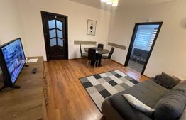 Apartament de 3 camere modern, centrala termica, 3x Aer conditionat, Lapus Arges