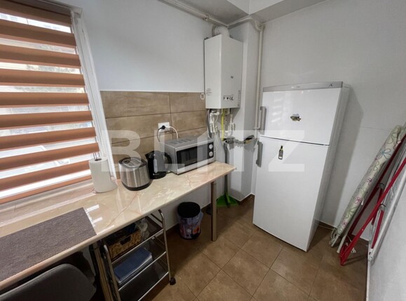 Apartament de închiriat 3 camere Lapus Arges - 113266AI | BLITZ Craiova | Poza3