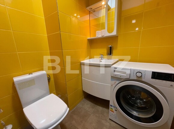 Apartament de închiriat 3 camere Lapus Arges - 113266AI | BLITZ Craiova | Poza11