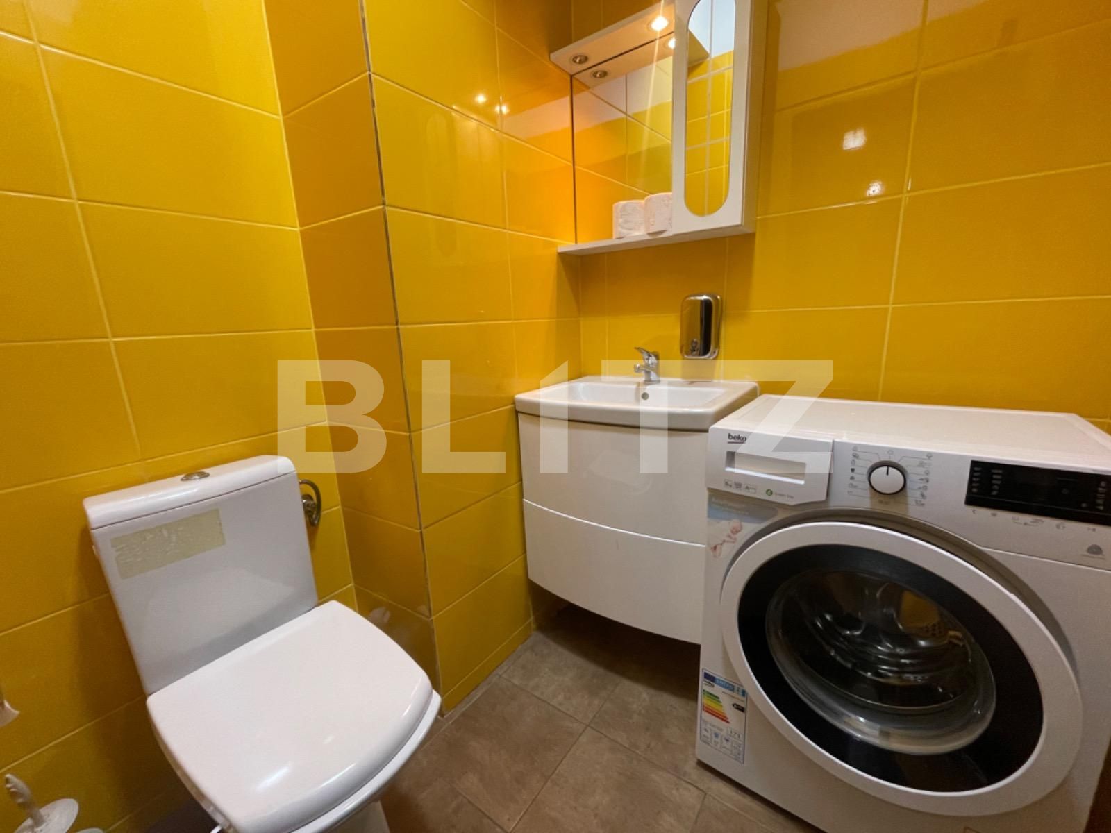 Apartament de închiriat 3 camere Lapus Arges - 113266AI | BLITZ Craiova | Poza11