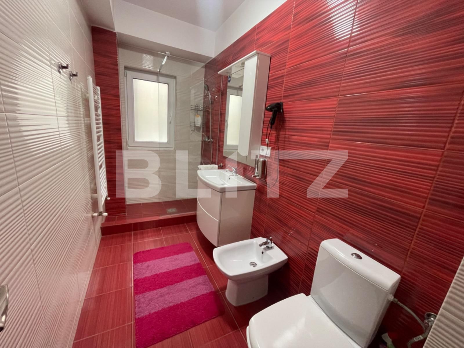 Apartament de închiriat 3 camere Lapus Arges - 113266AI | BLITZ Craiova | Poza10