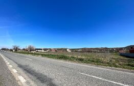 Teren intravilan 10.365 mp la principală, cu două deschideri mari la drum asfaltat, Duțulești