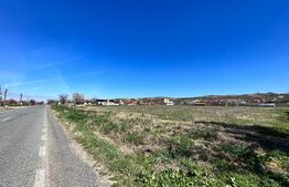 Teren intravilan 10.365 mp la principală, cu două deschideri mari la drum asfaltat, Duțulești