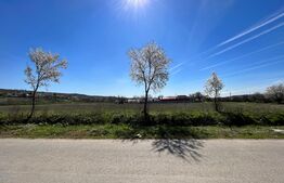 Teren intravilan 10.365 mp la principală, cu două deschideri mari la drum asfaltat, Duțulești