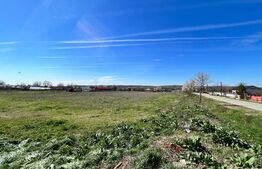 Teren intravilan 10.365 mp la principală, cu două deschideri mari la drum asfaltat, Duțulești