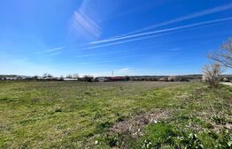 Teren intravilan 10.365 mp la principală, cu două deschideri mari la drum asfaltat, Duțulești