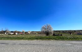 Teren intravilan 10.365 mp la principală, cu două deschideri mari la drum asfaltat, Duțulești