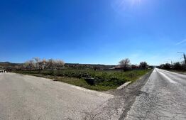 Teren intravilan 10.365 mp la principală, cu două deschideri mari la drum asfaltat, Duțulești