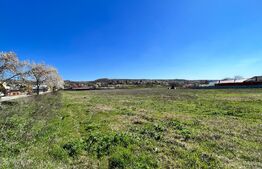 Teren intravilan 10.365 mp la principală, cu două deschideri mari la drum asfaltat, Duțulești