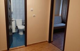 Apartament 2 camere, 45mp, 1 Mai 