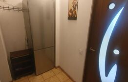 Garsoniera 40 mp, centrala proprie, Calea Severinului