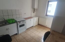 Garsoniera 40 mp, centrala proprie, Calea Severinului
