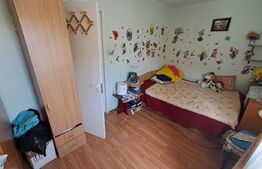 Apartament de 2 camere, semidecomandat, Cartier Valea Rosie zona Dacia