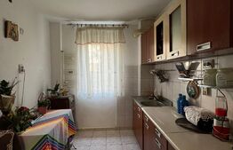 Apartament 2 camere semidecomandat, 48 mp, Calea Bucuresti, zona Scoala 21