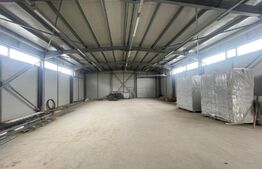 Hale Showroom, 1158 mp, Calea Severinului 