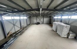 Hale Showroom, 1158 mp, Calea Severinului 