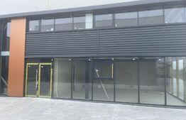 Hale Showroom, 1158 mp, Calea Severinului 