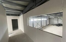 Hale Showroom, 1158 mp, Calea Severinului 