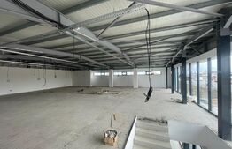 Hale Showroom, 1158 mp, Calea Severinului 