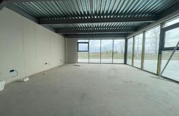 Hale Showroom, 1158 mp, Calea Severinului 