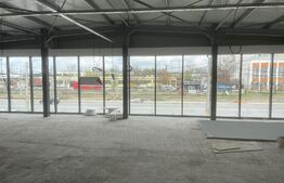 Hale Showroom, 1158 mp, Calea Severinului 