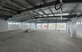 Hale Showroom, 1158 mp, Calea Severinului 