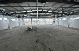 Hale Showroom, 1158 mp, Calea Severinului 