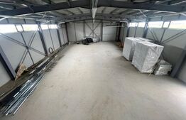 Hale Showroom, 1158 mp, Calea Severinului 