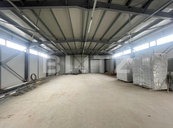 Spațiu industrial de închiriat Calea Severinului - 113707SII | BLITZ Craiova | Poza11