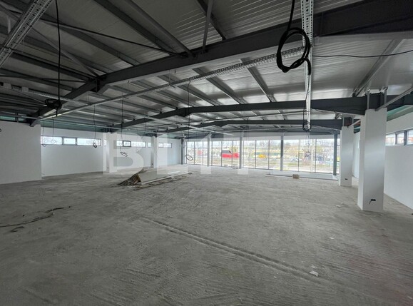 Spațiu industrial de închiriat Calea Severinului - 113707SII | BLITZ Craiova | Poza2