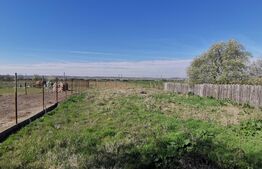 Spatiu 187mp cu 2431 mp teren, stradal, zona Brădesti!