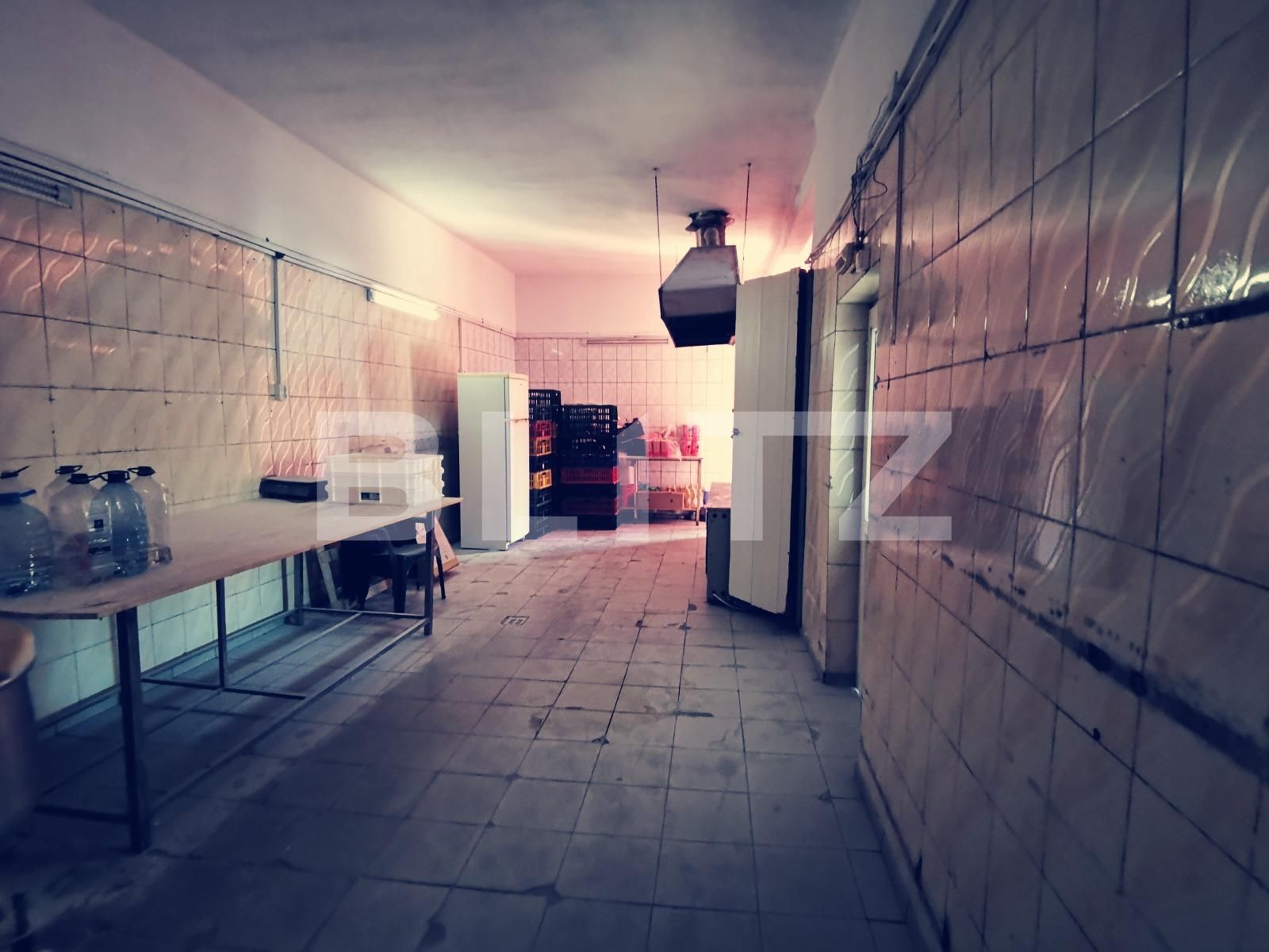 Spațiu comercial de vânzare Exterior Vest - 113807SVC | BLITZ Craiova | Poza8