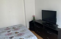 Apartament cu 2 camere, 28 mp, curte, AC, zona Centrala