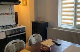 Apartament cu 2 camere, 28 mp, curte, AC, zona Centrala