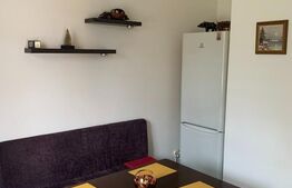 Apartament cu 2 camere, 28 mp, curte, AC, zona Centrala