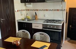 Apartament cu 2 camere, 28 mp, curte, AC, zona Centrala