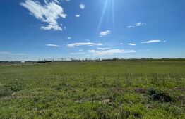 Teren intravilan 3000 mp, deschidere 21, Peugeot/Pielesti