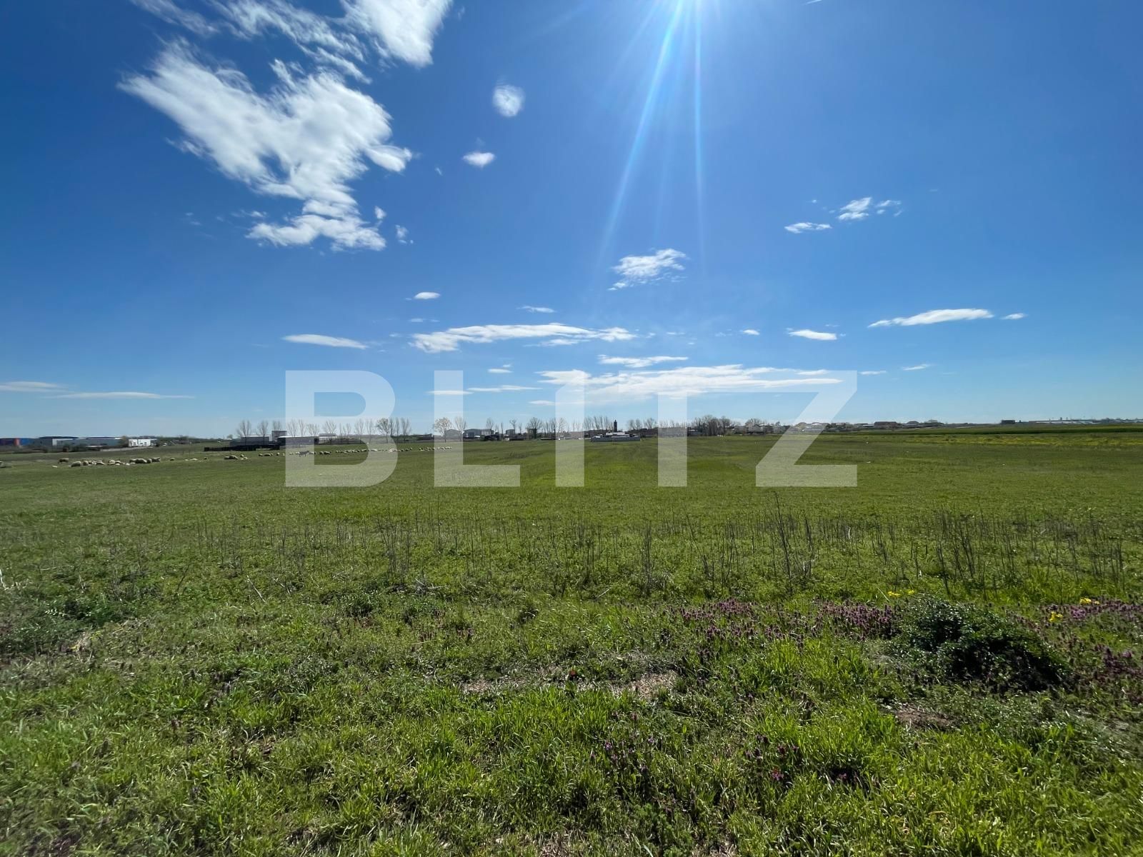 Teren de vânzare Pielești - 113969TV | BLITZ Craiova | Poza2