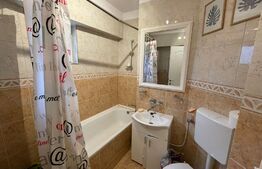 Apartament de 2 camere, 50 mp, aer conditionat, zona McDonald's