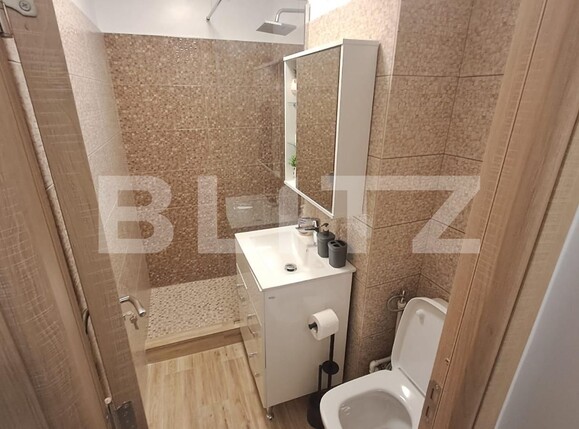 Garsonieră de vânzare Lapus - 114071AV | BLITZ Craiova | Poza8