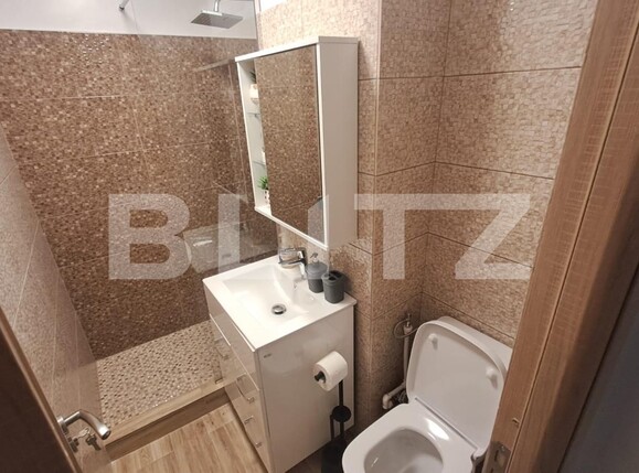 Garsonieră de vânzare Lapus - 114071AV | BLITZ Craiova | Poza7
