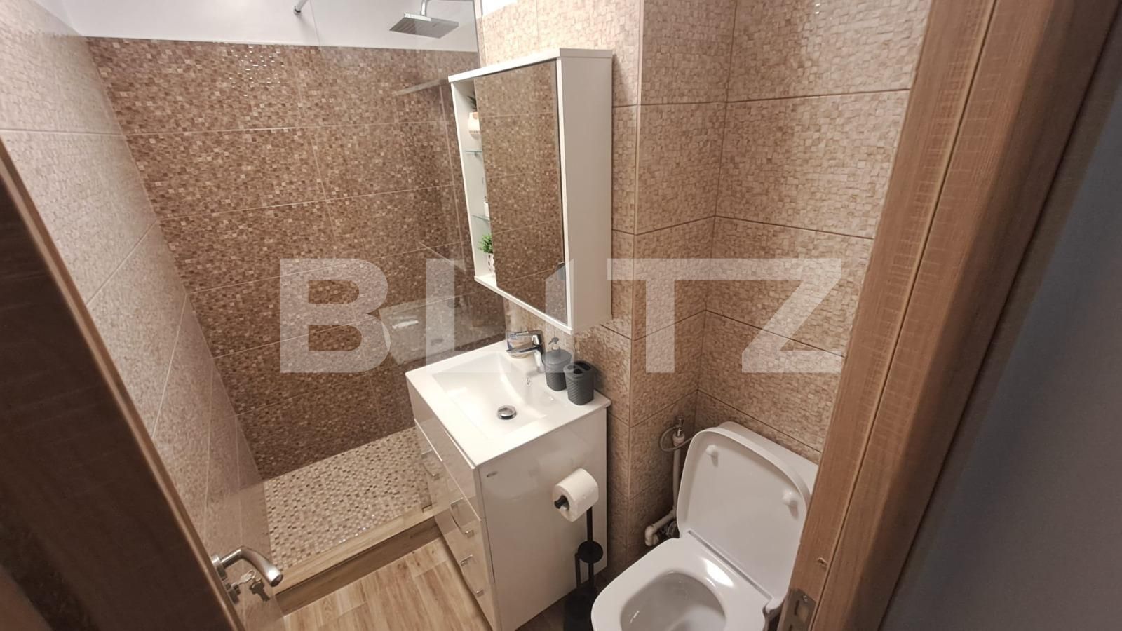 Garsonieră de vânzare Lapus - 114071AV | BLITZ Craiova | Poza7