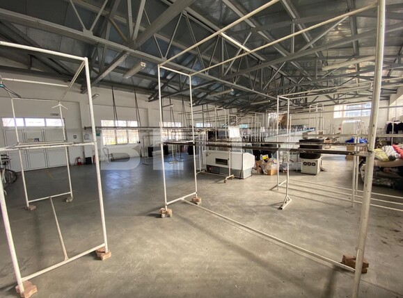 Spațiu industrial de închiriat Lapus - 114073SII | BLITZ Craiova | Poza3