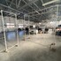 Spațiu industrial de închiriat Lapus - 114076SII - Poza 1 din 4 | BLITZ Craiova | Poza2