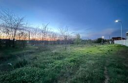 Teren intravilan 4900 mp, zona Veteranilor/ANL