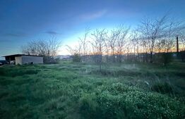 Teren intravilan 4900 mp, zona Veteranilor/ANL