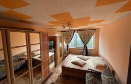 Garsoniera, 27 mp, Calea Bucuresti, zona Rotonda