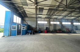 Hala Industriala, 290 mp, zona Calea Severinului