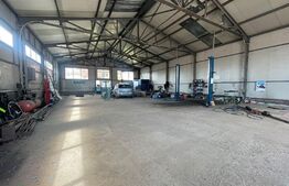 Hala Industriala, 290 mp, zona Calea Severinului